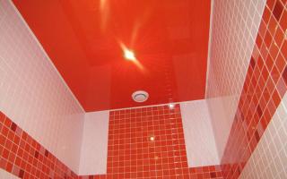 Какой потолок сделать в ванной – советы от дизайнеров